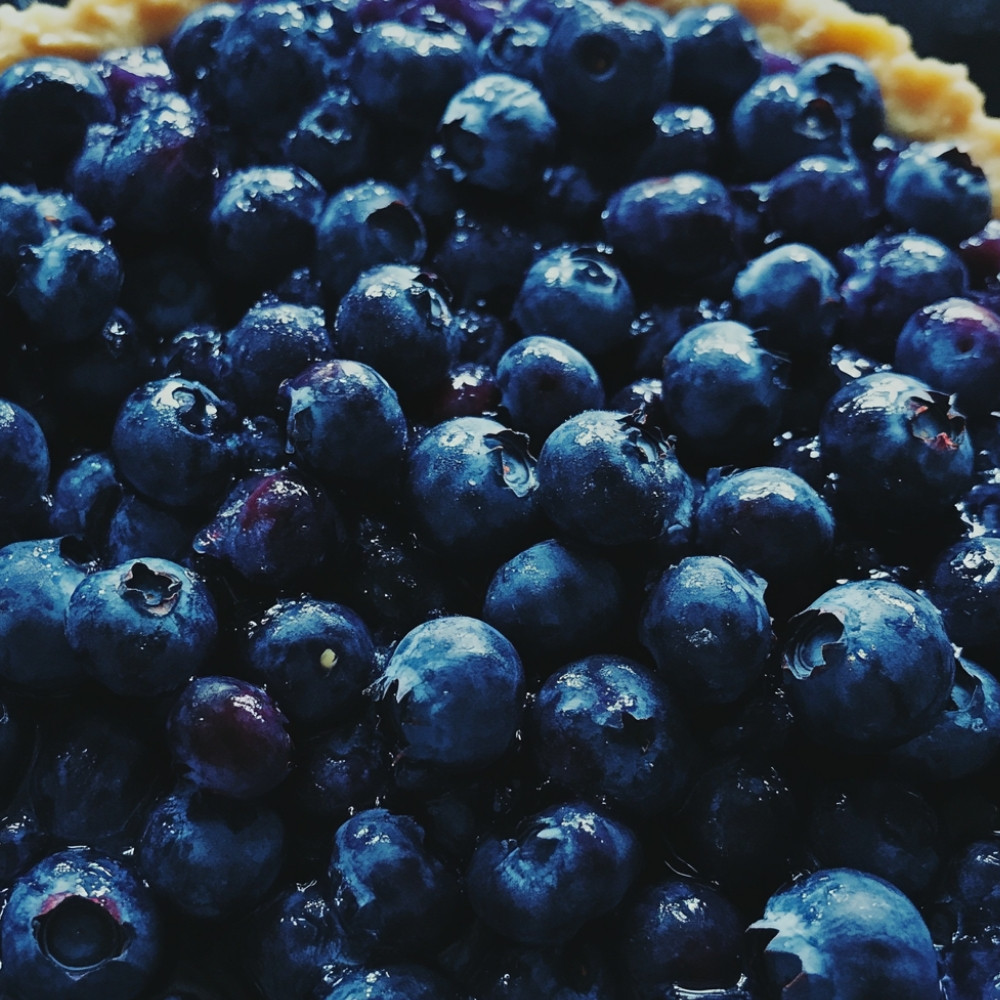 Blueberry Pie